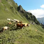 Auszeit Steiraland 3 Mit Ueberdachter Terasse Privatem Garten Und Gratis Parkplatz * Leoben (Styria)