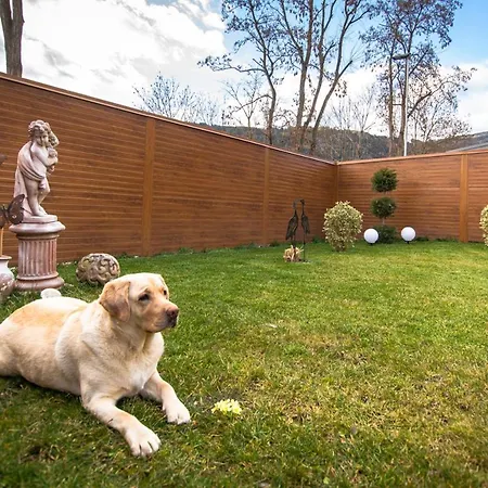 Auszeit Steiraland 3 Mit Ueberdachter Terasse Privatem Garten Und Gratis Parkplatz Apartamento