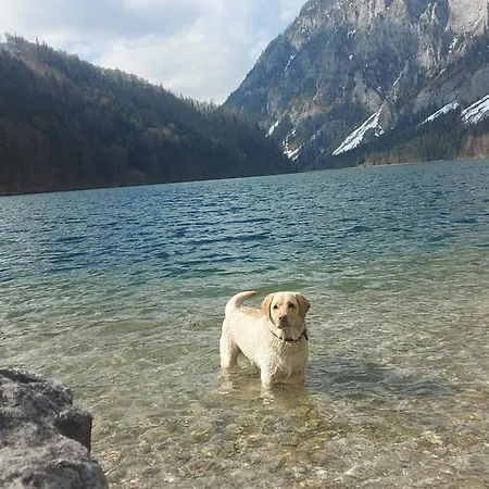 Auszeit Steiraland 3 Mit Ueberdachter Terasse Privatem Garten Und Gratis Parkplatz Leoben (Styria)