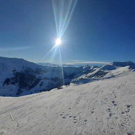 Auszeit Steiraland 3 Mit Ueberdachter Terasse Privatem Garten Und Gratis Parkplatz Appartement *