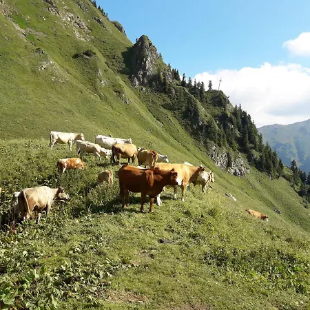 Auszeit Steiraland 3 Mit überdachter Terasse Privatem Garten Und Gratis Parkplatz * Leoben (Styria)