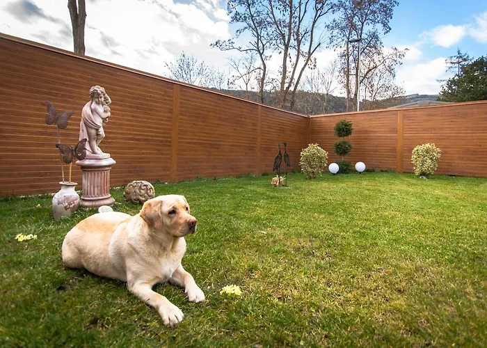 Auszeit Steiraland 3 Mit Ueberdachter Terasse Privatem Garten Und Gratis Parkplatz Apartmán