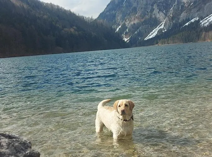 Auszeit Steiraland 3 Mit überdachter Terasse Privatem Garten Und Gratis Parkplatz Leoben (Styria)