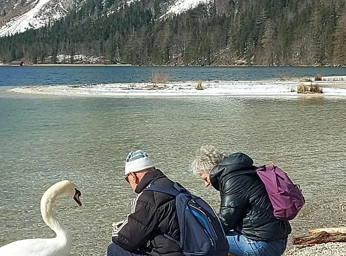 Apartmán Auszeit Steiraland 3 Mit Ueberdachter Terasse Privatem Garten Und Gratis Parkplatz *