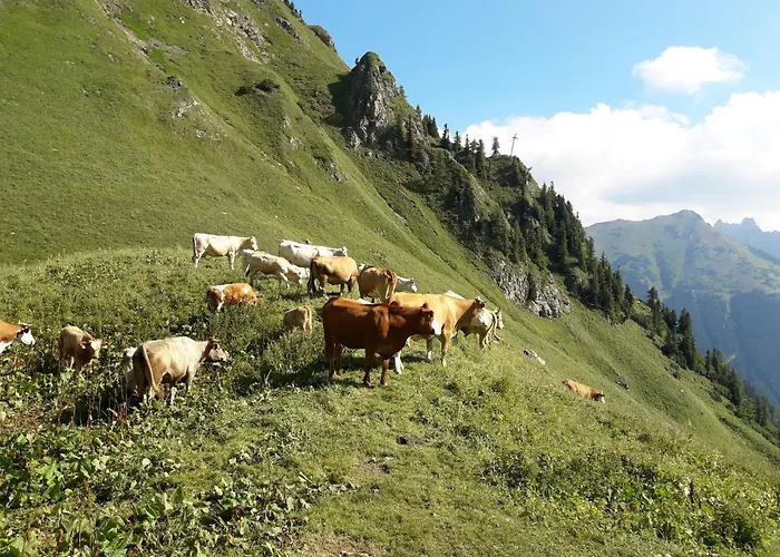 Auszeit Steiraland 3 Mit überdachter Terasse Privatem Garten Und Gratis Parkplatz * Leoben (Styria)